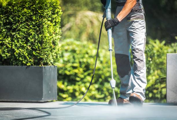 Best Driveway Cleaning and Restoration in Sidney, IL